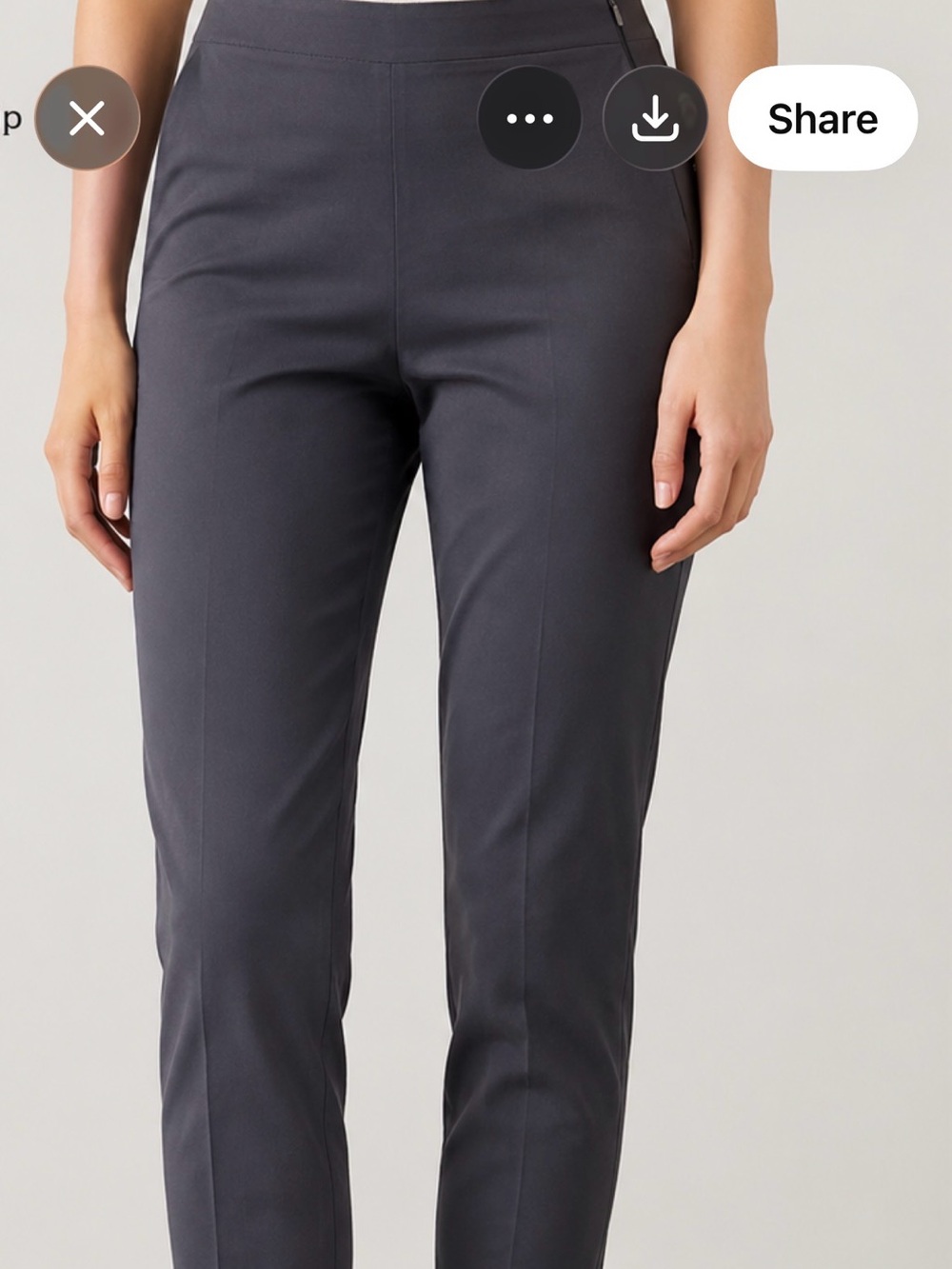 Everlane women’s  Chinos in Charcoal Gray